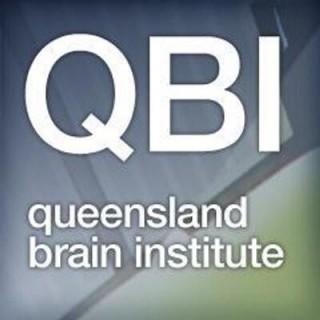 Qld Brain institute joins business 'brains trust'